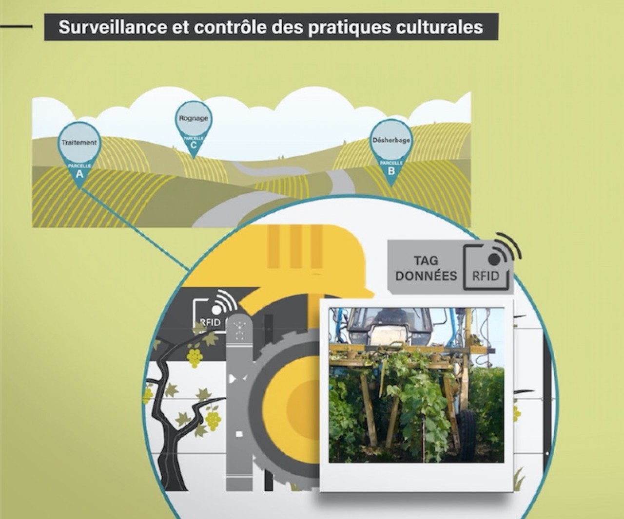Alcom Technologies utilise l’intelligence artificielle pour maîtriser les traitements dans les vignes. .