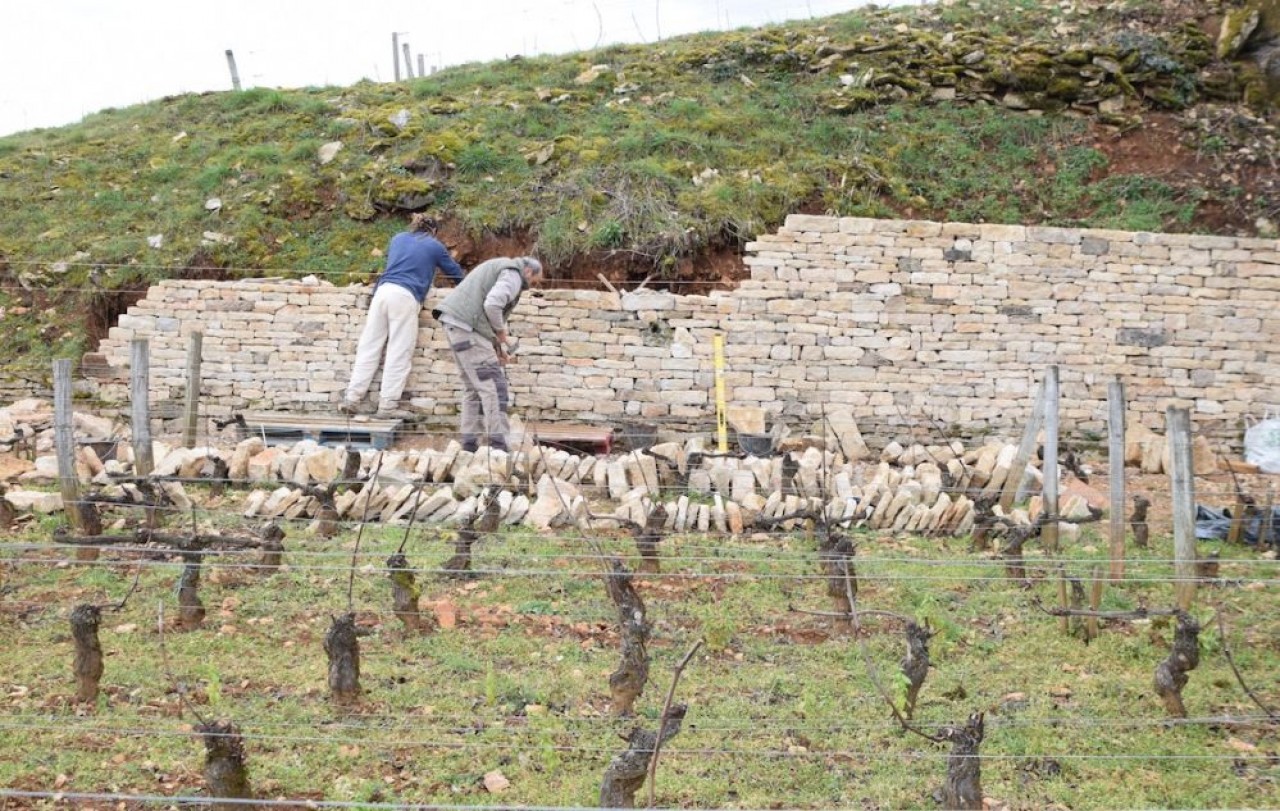 « Pour reconstruire un mur de pierre sèche, il ne suffit pas d’empiler des pierres les unes sur les autres ; pour qu’un ouvrage soit solide, il faut d’abord faire quelques calculs », explique Bruno Schneider, murailler en Côte-d’Or. © Traces Écrites.