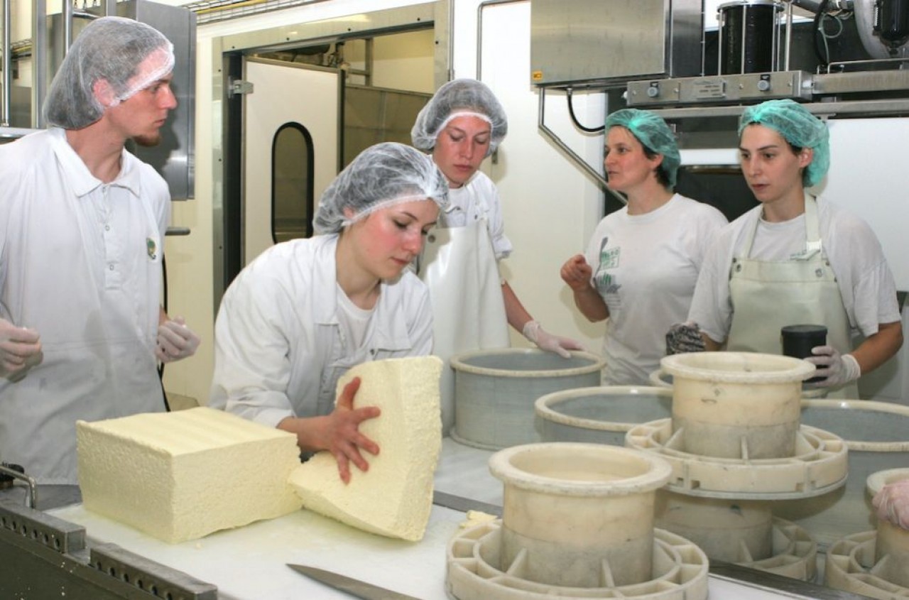 Fromager : une profession qui se féminise. Ici, atelier de démoulage de pâte pressée. © Mirey communication