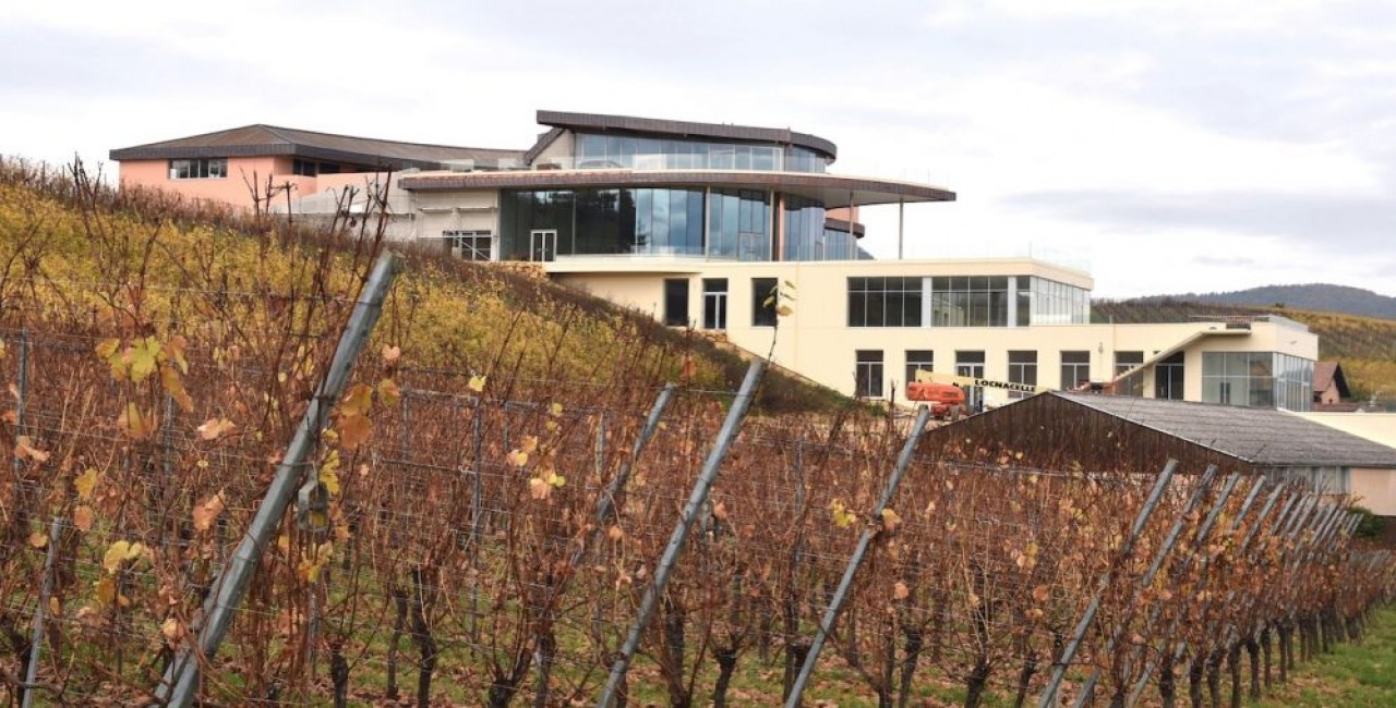 Le domaine alsacien Rolly-Gassmann a construit un bâtiment sur six niveaux dont quatre enterrés qui abrite une salle de dégustation, une cuverie et une cave pour 2 millions de cols. © Julie Giorgi