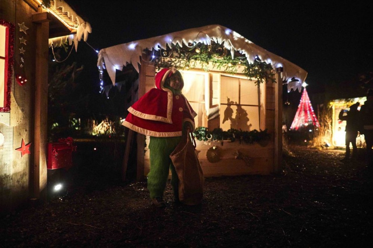 Nocturnes du Noël au jardin, dans le Parc de Wesserling, jusqu'au 30 décembre 2019. © Steeve Josh