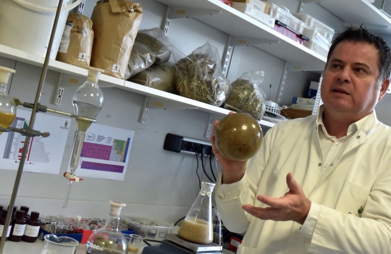 Régis Saladin, directeur des Laboratoires Phytodia, s'inscrit dans l'évolution plus que favorable du marché des cosmétiques naturels. © Julie Giorgi