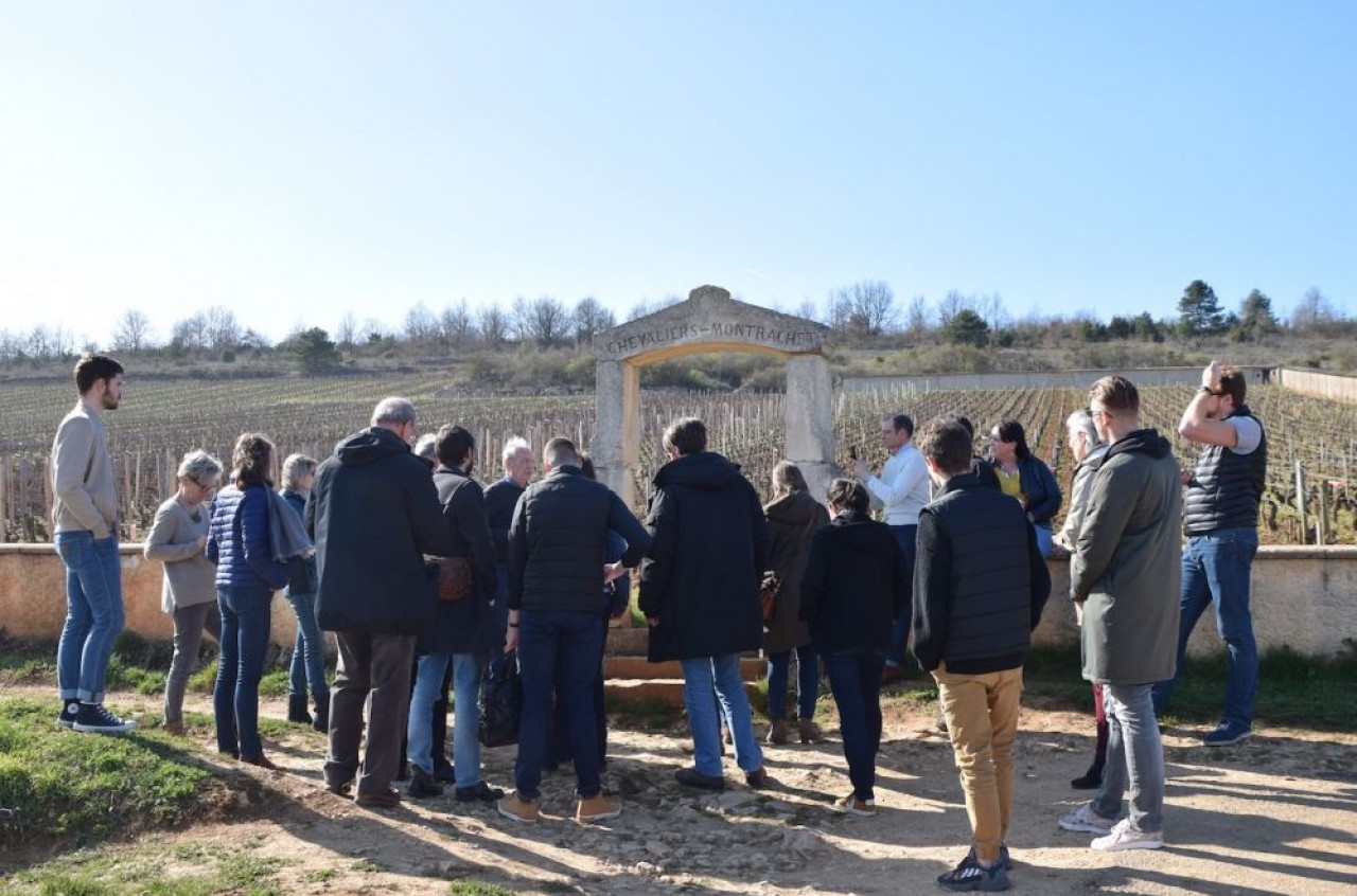 Les deux journées de formation au vin de Bourgogne, proposées par le BIVB, marient théorie, pratique et découverte du vignoble et de ses acteurs. © Traces Ecrites