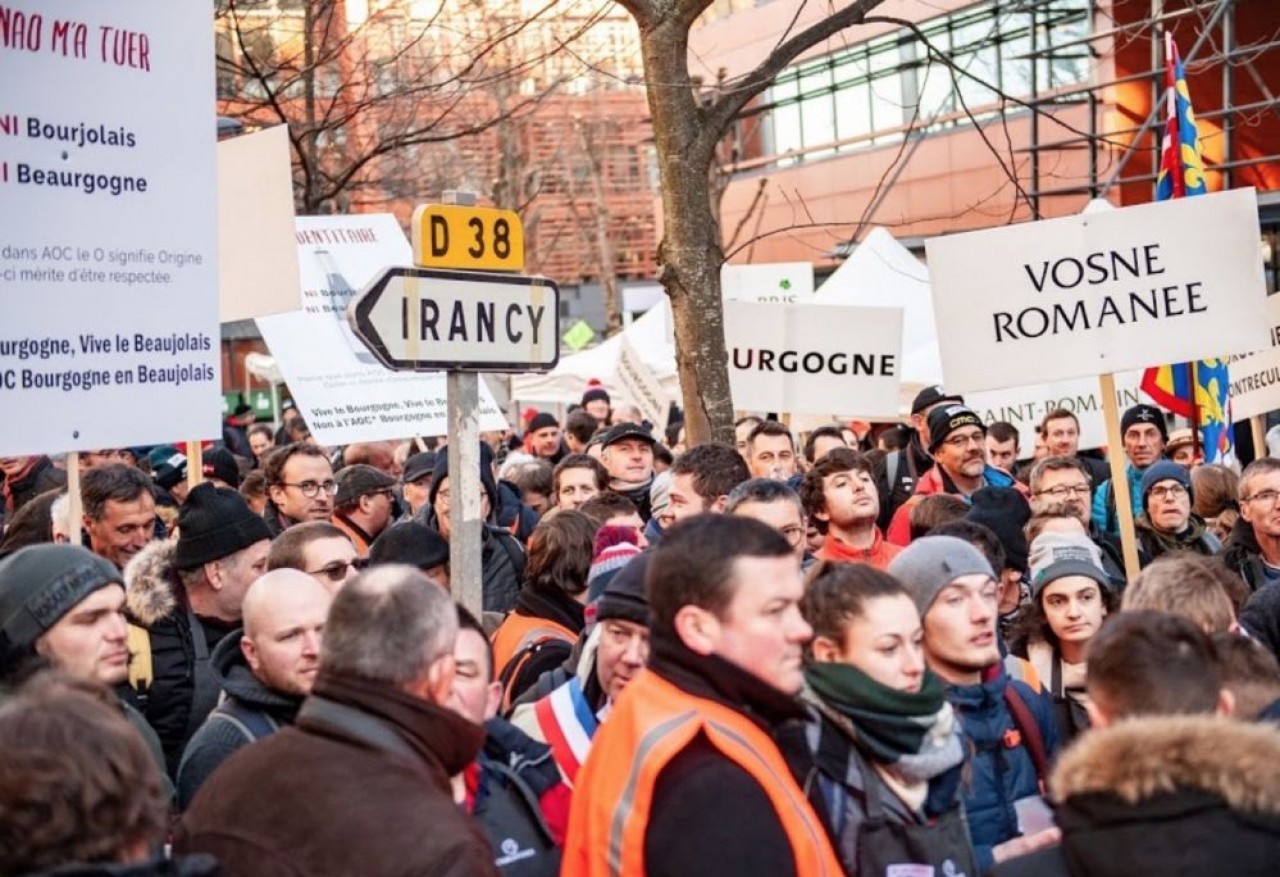 450 viticulteurs ont manifesté jeudi 6 février devant le siège de l'Inao, l'organisme qui gère les appellations viticoles, à Montreuil. © Sébastien Abry/ Syndicat des vignerons.