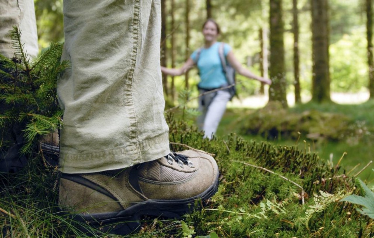 En prévision de vacances franco-françaises, Bourgogne-Franche-Comté Tourisme prépare une communication sur les grands espaces avec notamment des itinéraires de petite et grande randonnée. Ici, dans le Morvan. © Alain Doire/ BFC Tourisme