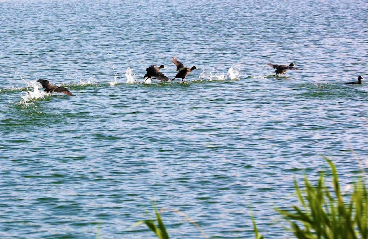 Le lac de Madine, en Lorraine, l'un des dix lieux suggérés par la rédaction de Traces Ecrites News pour prendre un bol d'air. © Lac de Madine