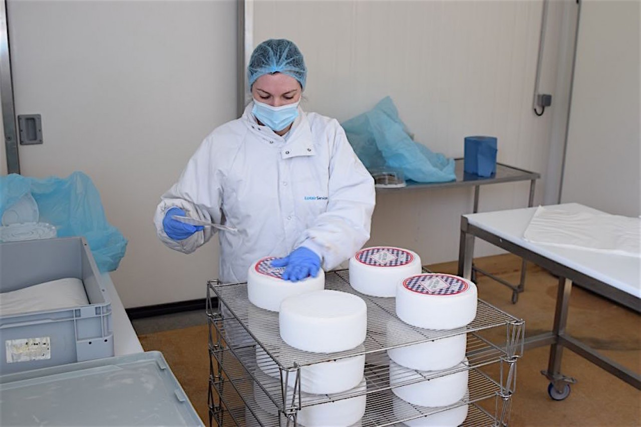Les Fromagers de Chevillon vont bénéficier d'un nouveau site en septembre prochain sur la commune éponyme. © Traces Ecrites