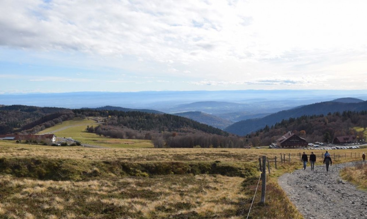 Le sommet du Ballon d'Alsace, culminant à 1247 mètres est, selon les estimations, fréquenté par 700.000 à 900.000 visiteurs par an. © Traces Ecrites