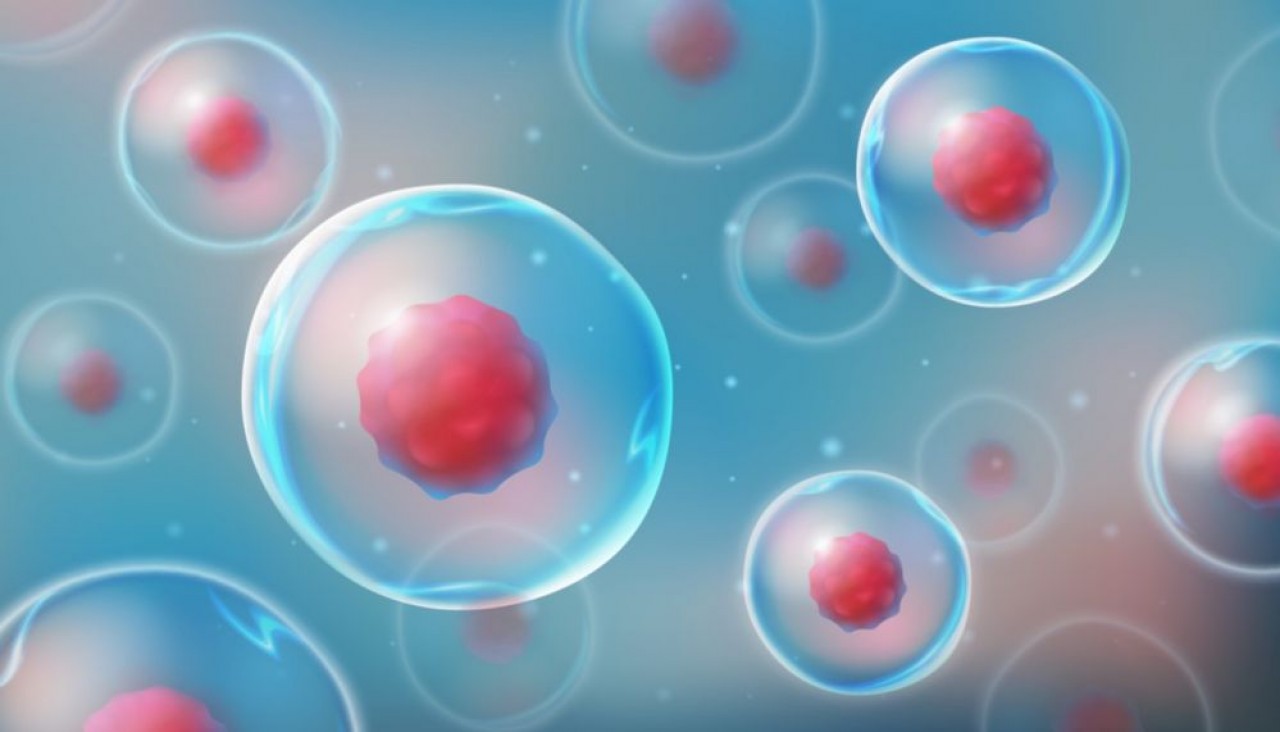 Polyplus-Transfection cherche à réduire les coûts de production des médicaments géniques, aujourd'hui très chers. © Shutterstock