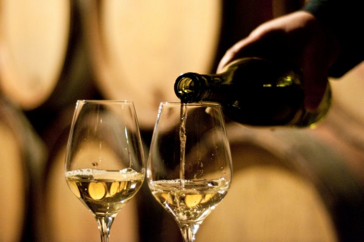 Les vignerons candidats au label Vignobles & Découvertes doivent respecter des critères très précis. © BIVB / Aurélien Ibanez