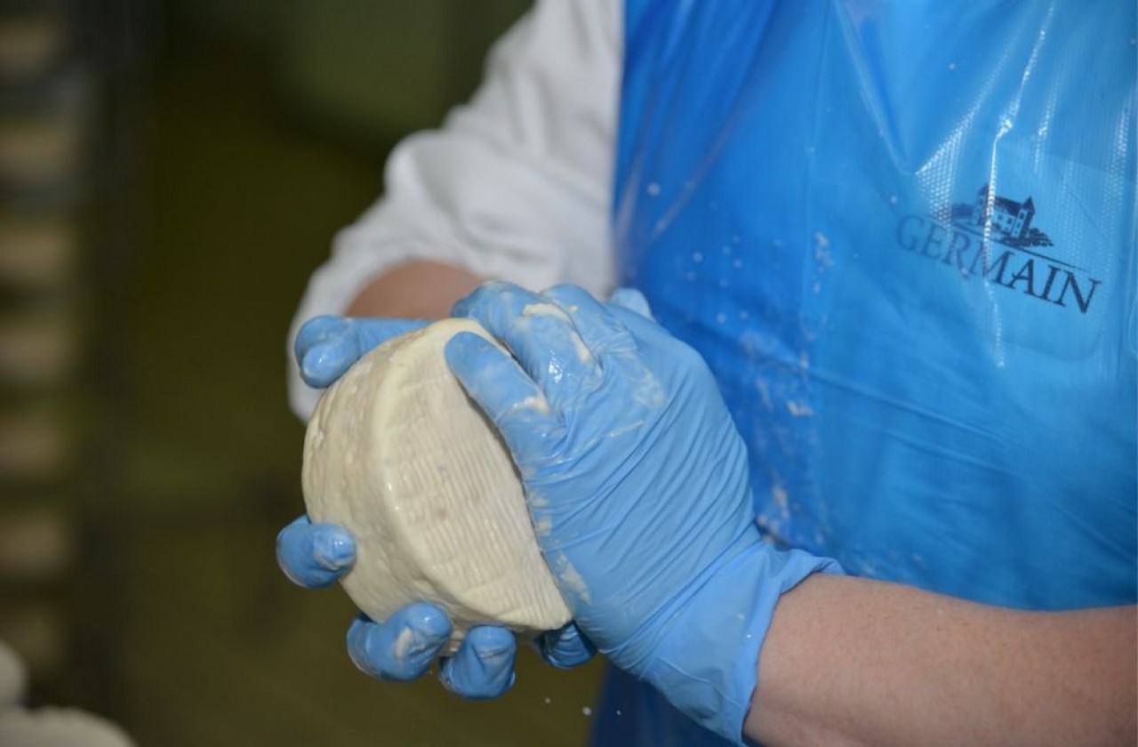 Epoisses en cours de lavage et frottage avec une eau enrichie au marc de Bourgogne. © Germain