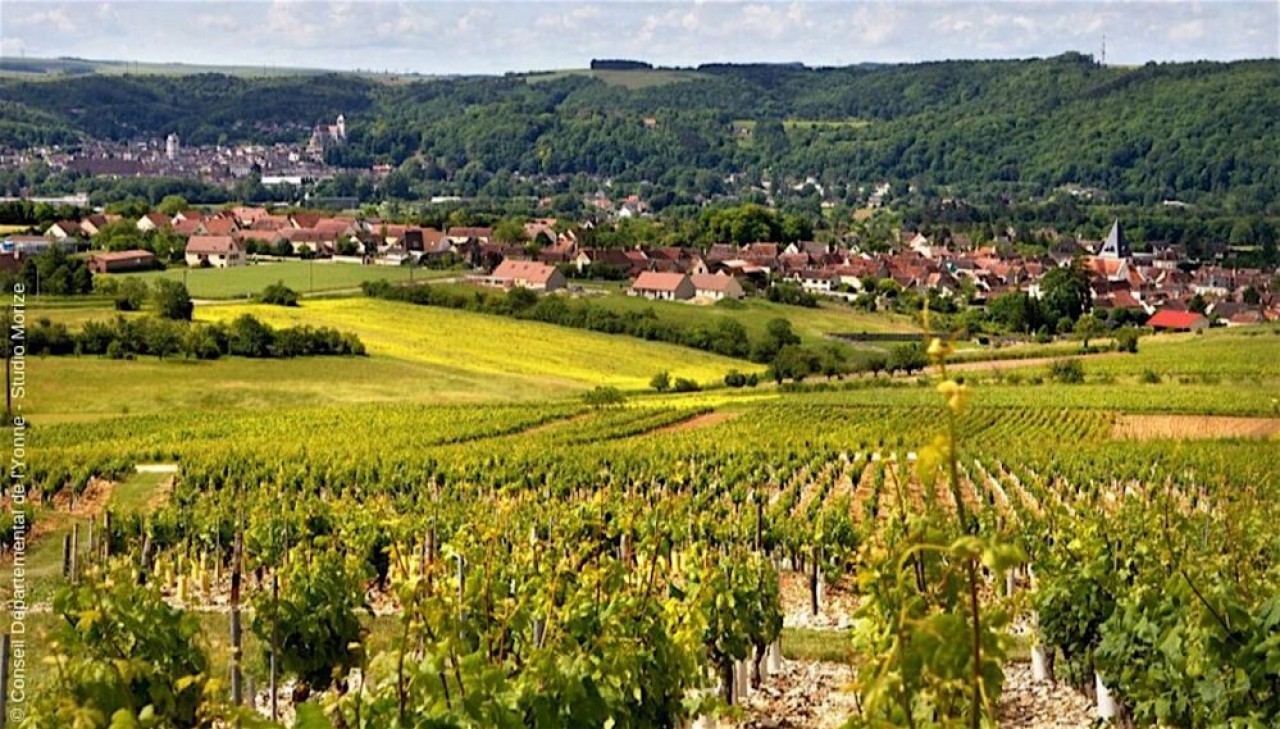 Le vignoble du Tonnerrois s'étend de part et d'autre de la rivière Armançon, au sud-est de l'Yonne, entre deux productions renommées, le Chablis et le Champagne. © Yonne Tourisme/Studio Morize