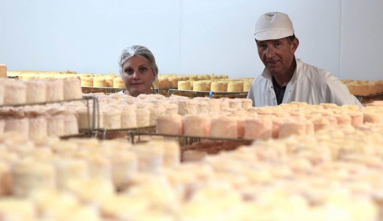 Marie et Sylvain Remillet au milieu de leurs fromages de Langres au lait cru qu'ils produisent à hauteur de 100 tonnes annuelles. © Traces Ecrites