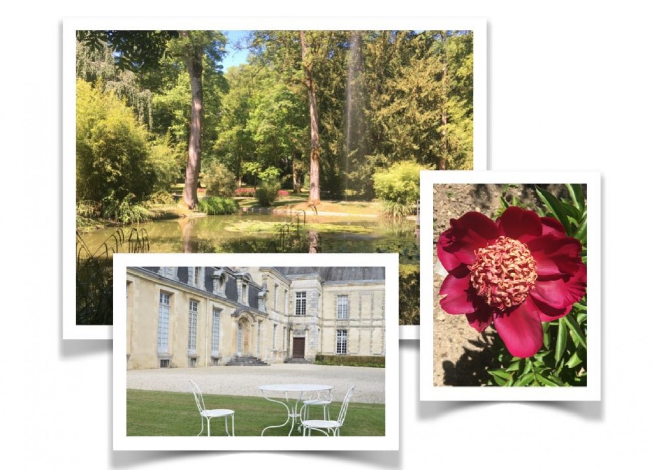 En arrière plan, le Château du Grand Jardin à Joinville, en dessous le château de Cirey-sur-Blase et à droite, le Jardin de mon moulin.