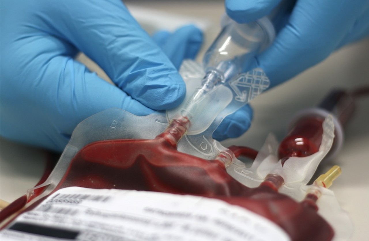 Macopharma implante un laboratoire dans Bio innovation à Besançon pour faire avancer la recherche sur les biothérapies. © Shutyerstock