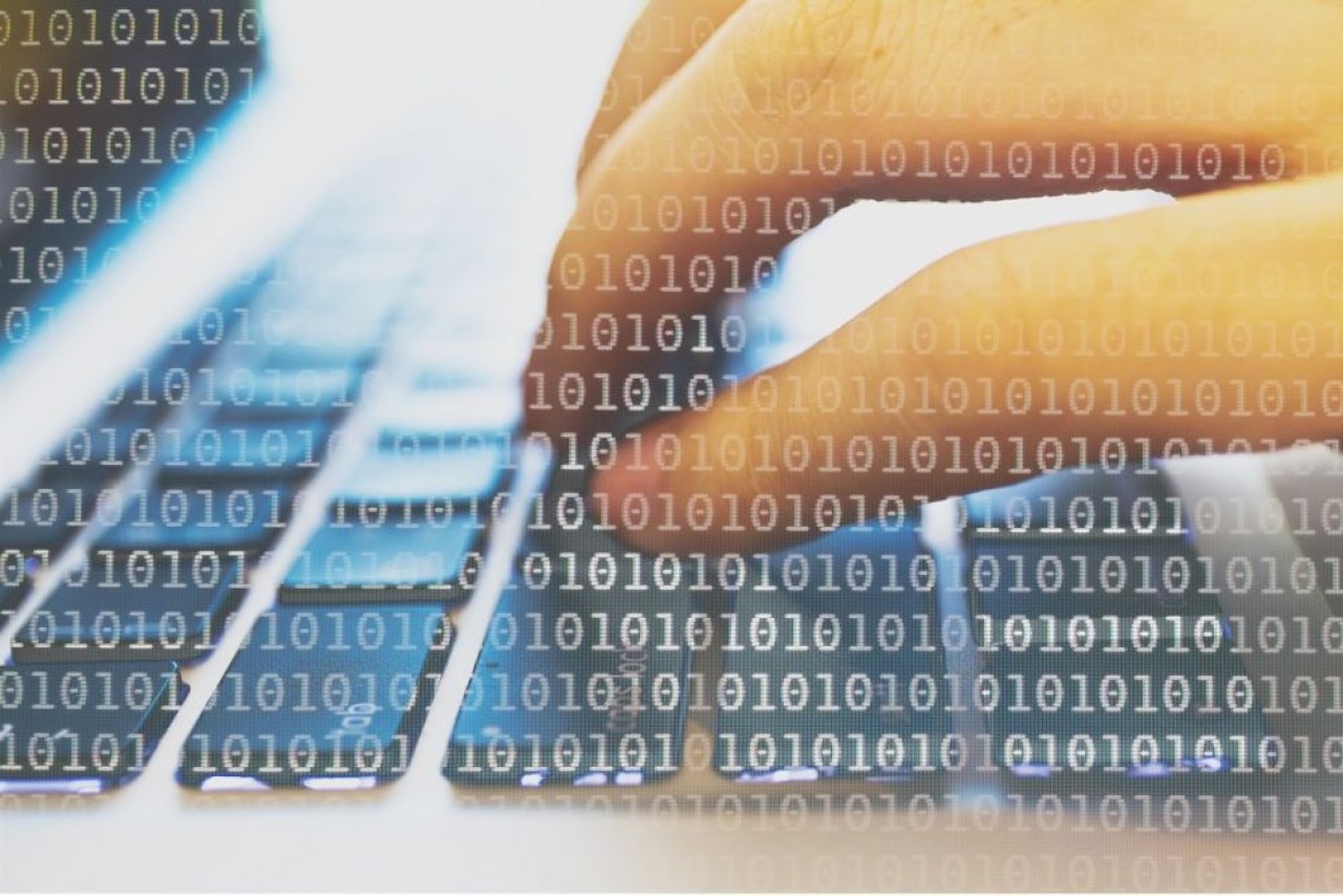 Atol CD connaît une croissance 15 % par an depuis ces 15 dernières années. © Shutterstock