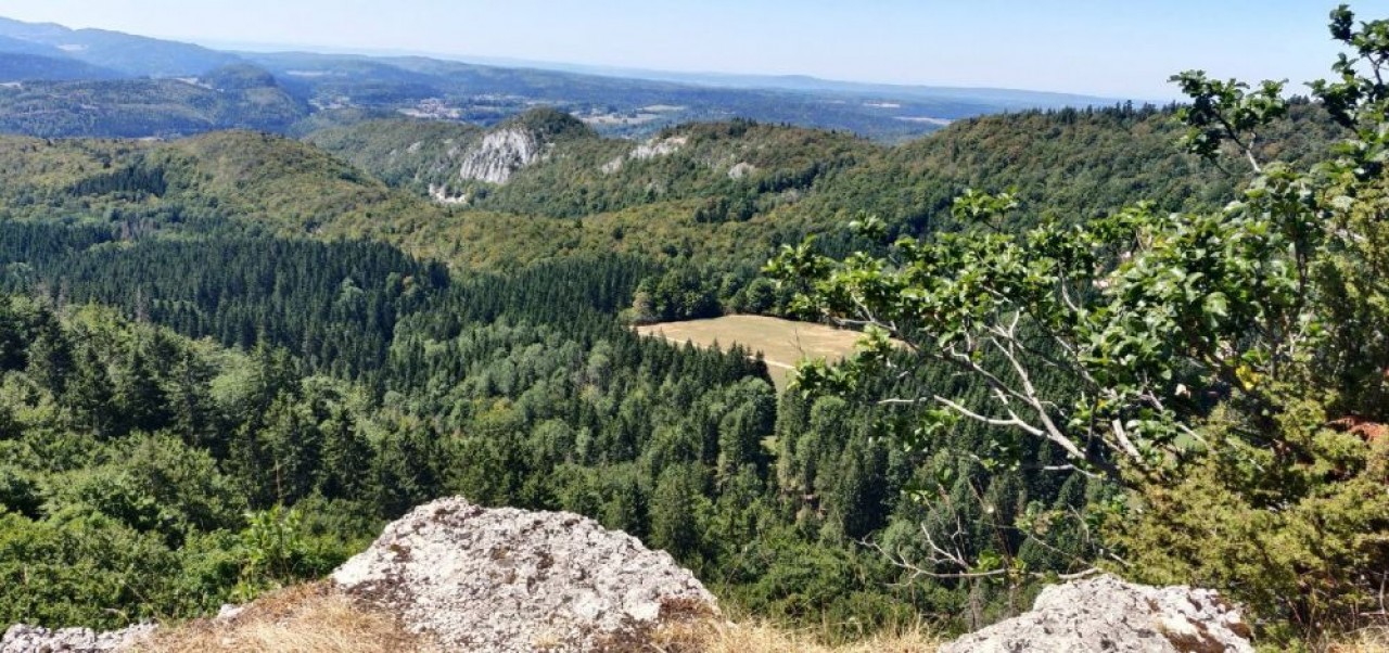 Les itinéraires de randonnée de la zone frontalière du Jura avec la Suisse offrent des vues panoramiques à couper le souffle, comme le belvédère du Bulay, à 1.136 mètres d’altitude. © Traces Ecrites