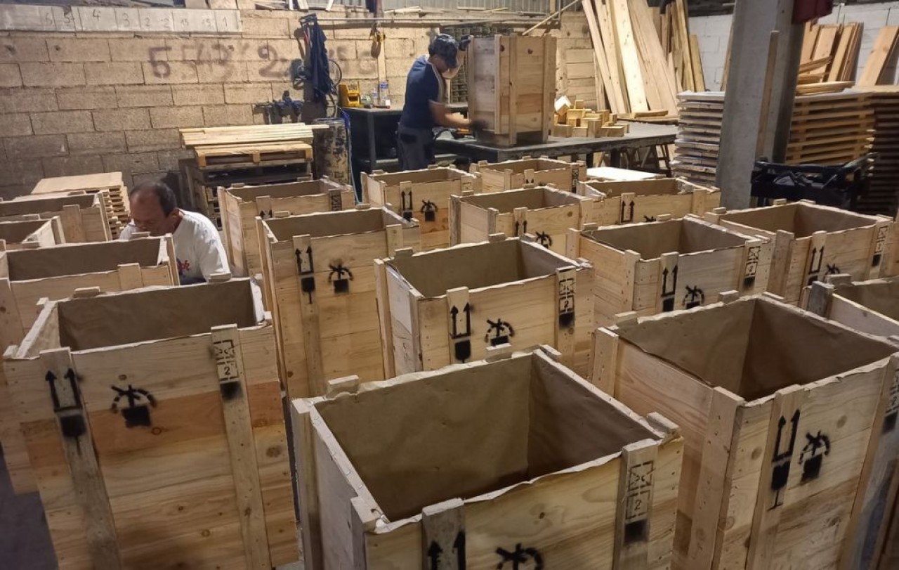 Emballages Industriels de la Doller a su développer une gamme variée de caisses en bois. © Mathieu Noyer