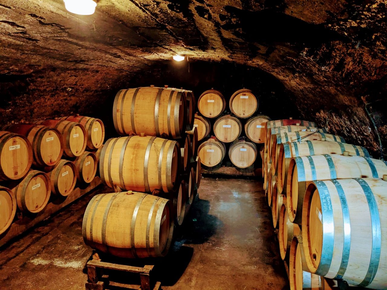La cave de pierre voûtée, à la température maintenue naturellement entre 12° et 14° C toute l’année, une rareté désormais en Bourgogne, observe la patronne du Domaine. © Domaine du Beauregard