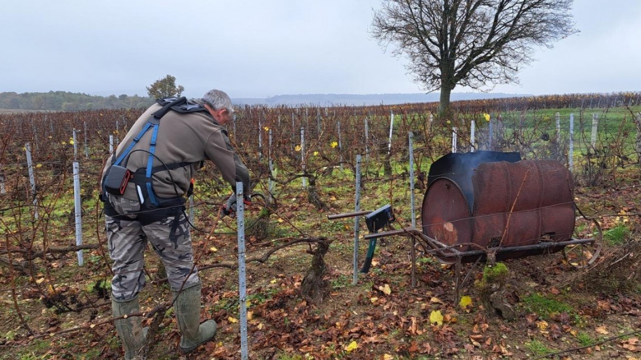 L'exosquelette de RB3D en action dans les vignes. © RB3D Serge Grygorowicz invente des exosquelettes et des cobots pour faciliter l’assistance aux gestes pénibles, difficiles et répétitifs. © Déborah Levy