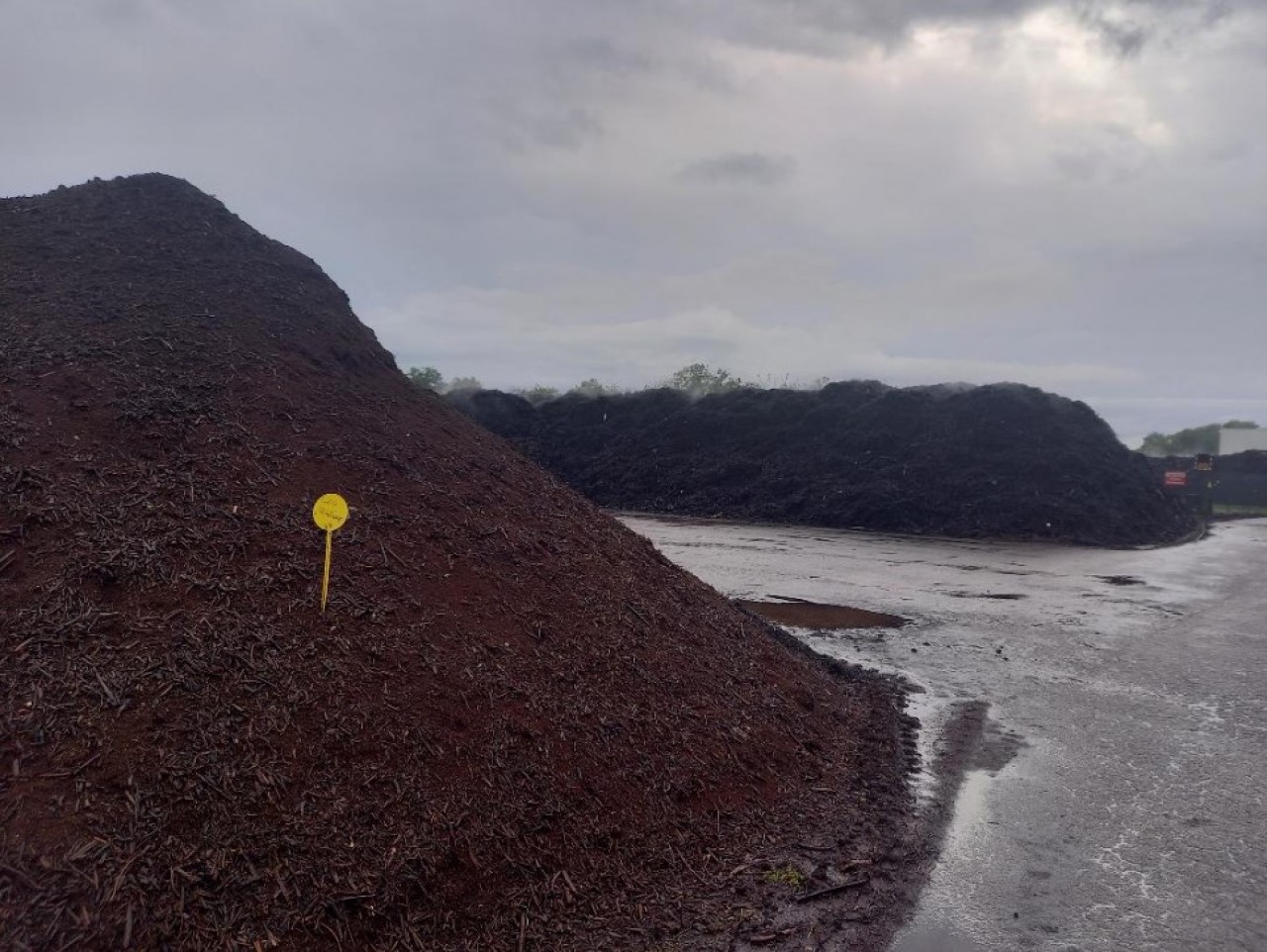 La plateforme à Wittenheim (Haut-Rhin) rassemble les stocks de déchets verts, du plus récent au plus ancien. © Mathieu Noyer