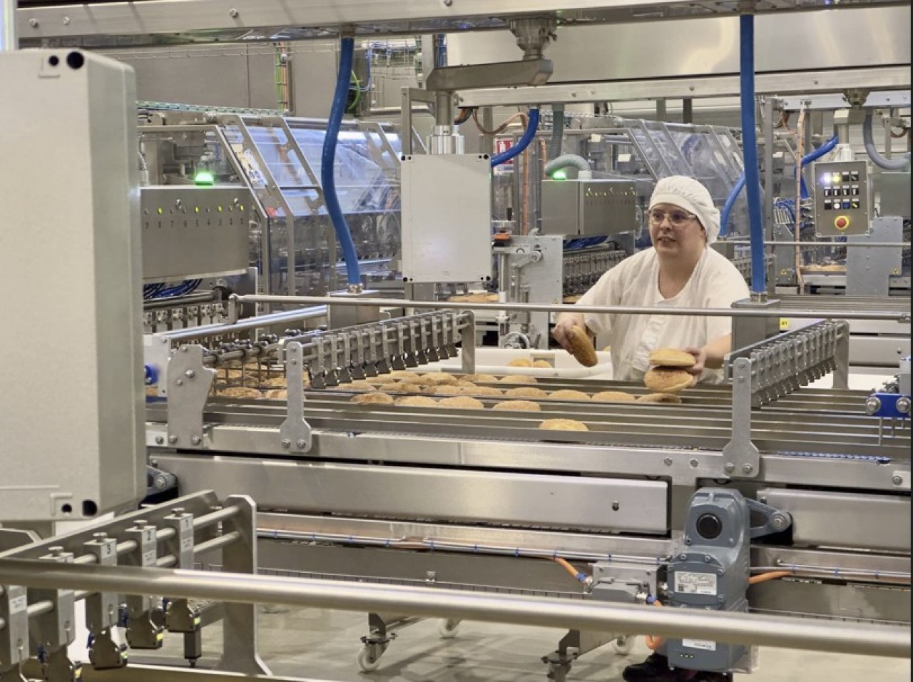 Le groupe agroliamentaire espagnol Vicky Foods a déjà consacré 100 millions d'euros à l'ouverture, l'an dernier, de son usine de Fragnes-La Loyère (Saône-et-Loire). © Arnaud Morel