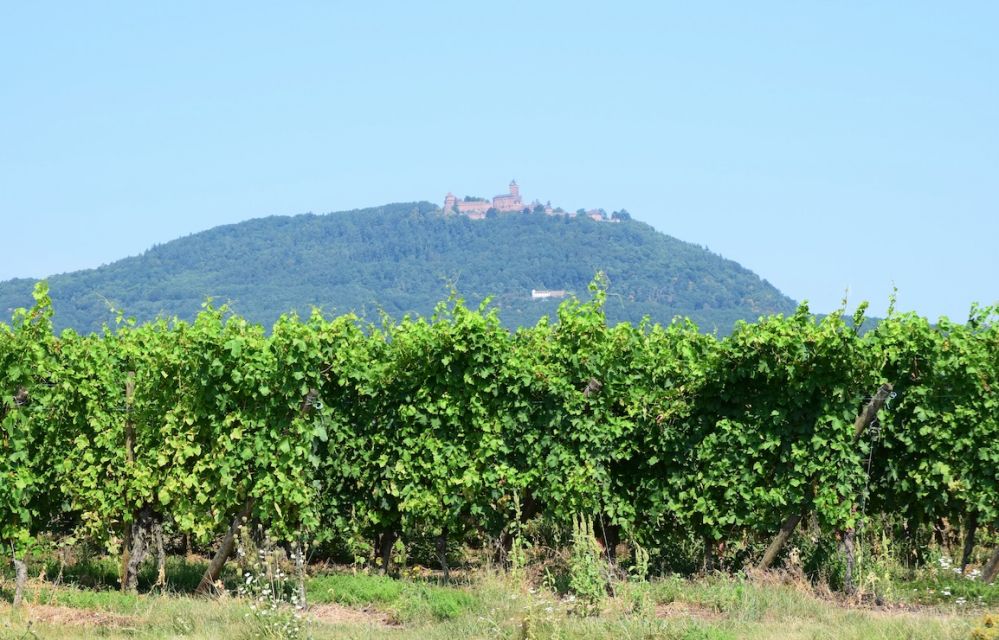 hautkoenigsburg