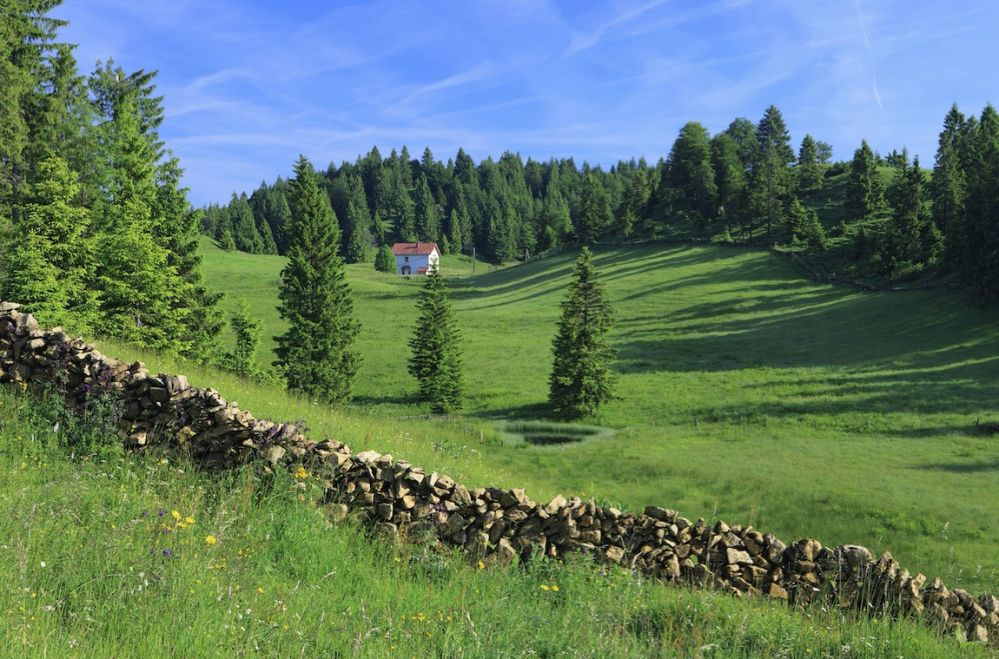bellecombe