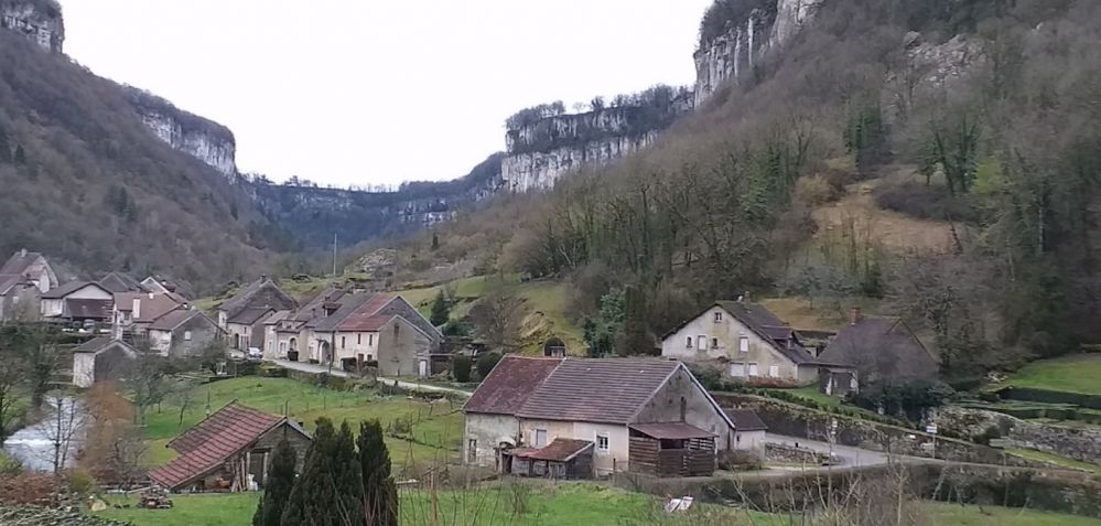 baumereculee