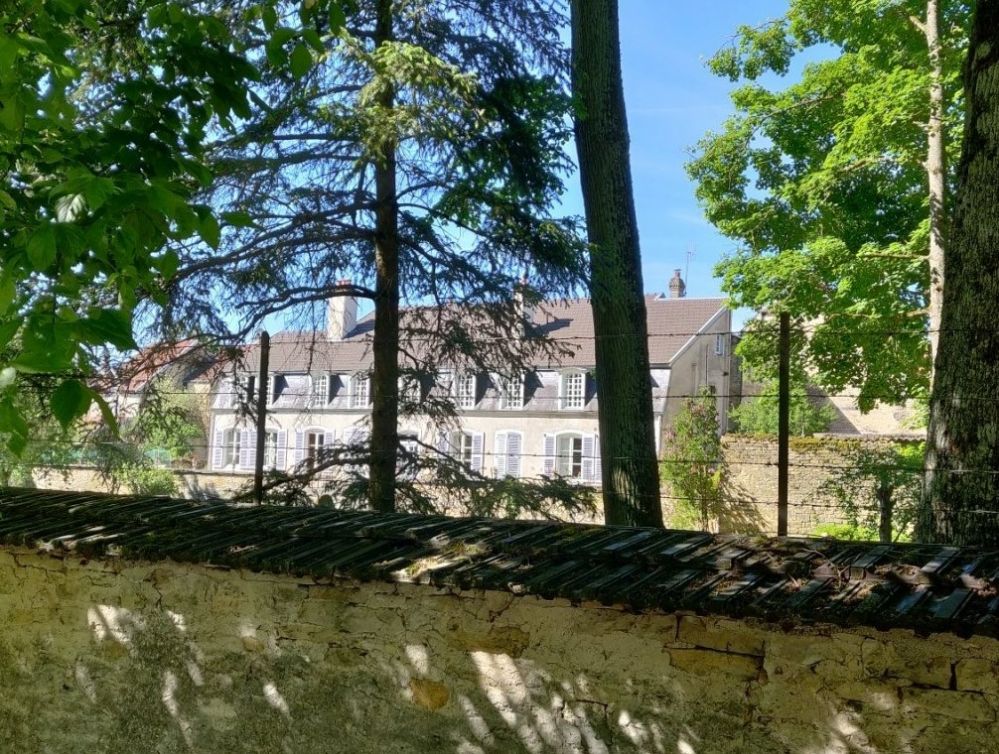 chateau villain image