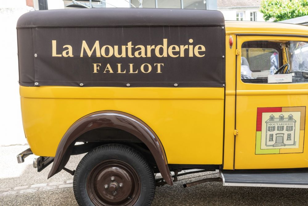 fallot 1