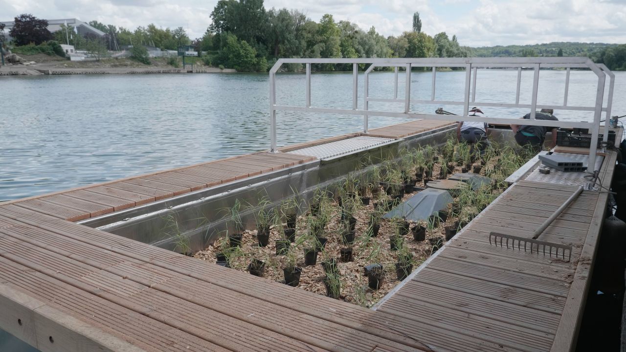 AQUATIRIS phytoplantation