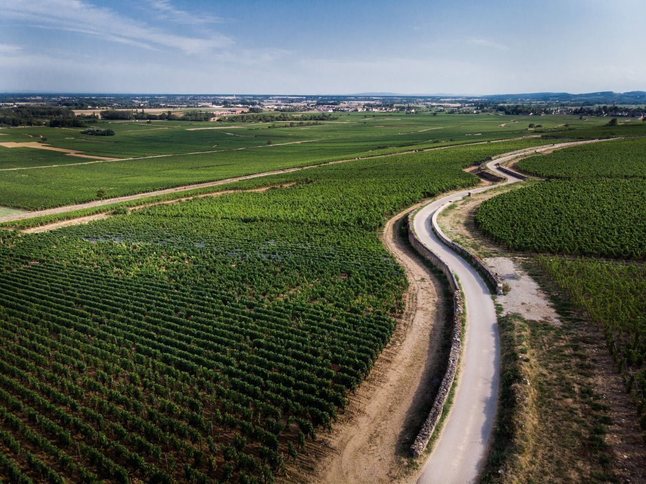 volnay-taillepieds