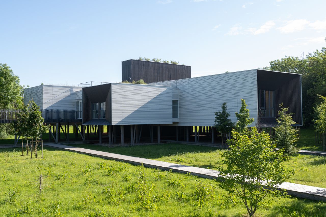 Auxerre_R Green Lab&copy;Sabrina-Dolidze1