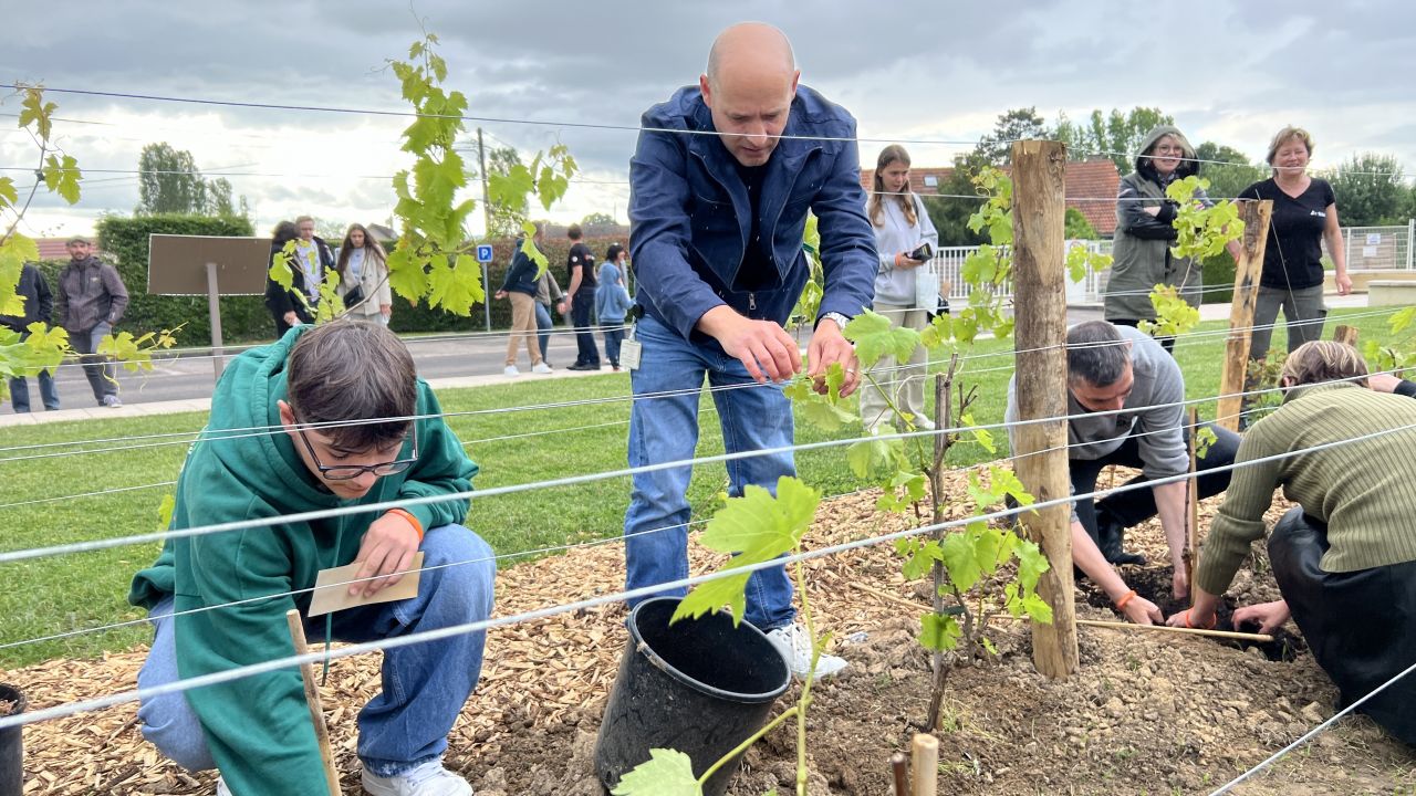 INTERIEUR 50 ans SIdel Packing Solutions_Plantation vigne2