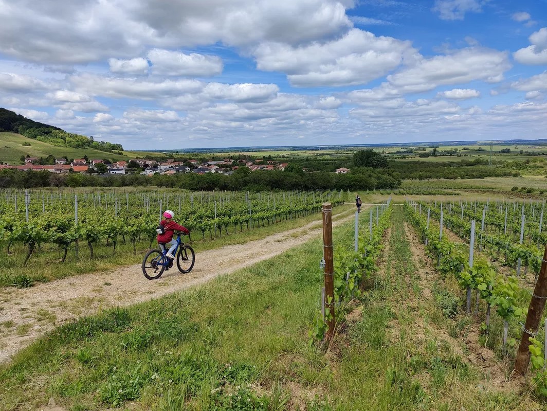 maison leli&egrave;vre