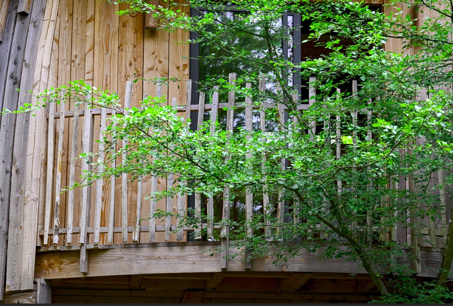 coucoo cabane gros plan