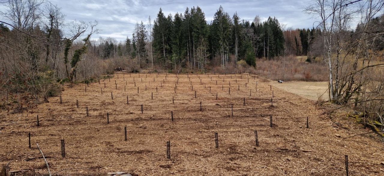 foret jura plantations