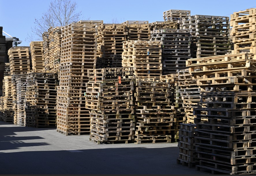 Epalia stock
