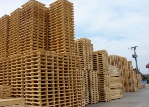 Jacquot-Baudrier-La Palette Comtoise fabrique 2500 à 3000 palettes par jour.