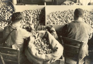 Photo ancienne de deux choisisseurs de pipes chez Chapuis-Comoy.