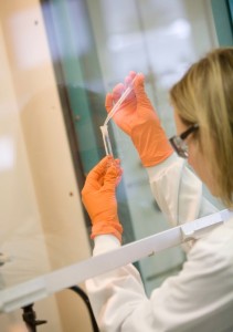 Une capacité de recherche importante avec 17 millions d'euros injectés chaque année, hors partenariats.
