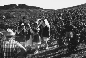 De jeunes Pernandaises lors d'un tournage de la télé japonaise. Crédit : Association Pernand-Passionnément.
