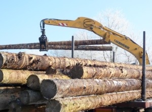 grume